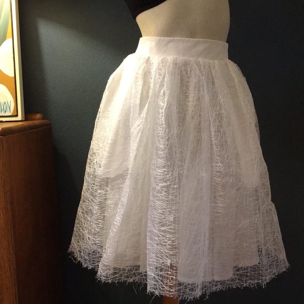 Mesh Layered Full Skirt - Picture 2 of 8